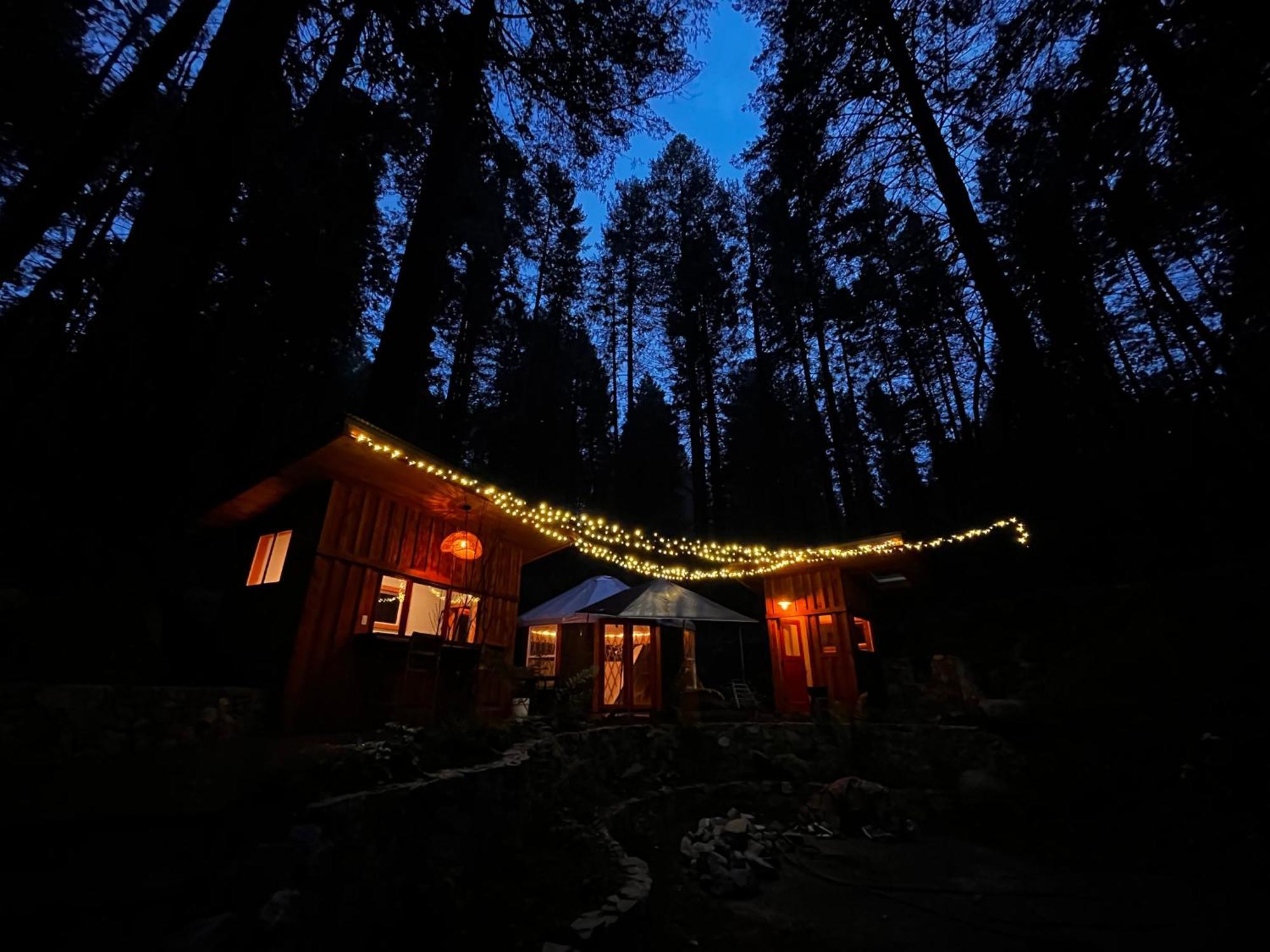 Hotel Magical Yurt In The Woods - 2 Miles From Town Nevada City Exterior foto